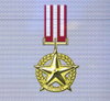 Ace x mp medal gold star of victory.png