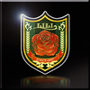 "Lili's Emblem"