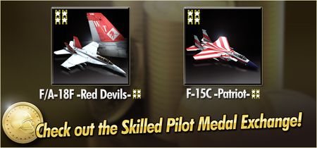FA-18F -Red Devils- and F-15C -Patriot- Skilled Pilot Medal Exchange Banner.png