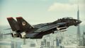 Razgriz F-14D Super Tomcat