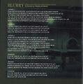 AC5 OST Blurry Lyrics.jpg