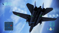Great Migration F-14A Underside.png